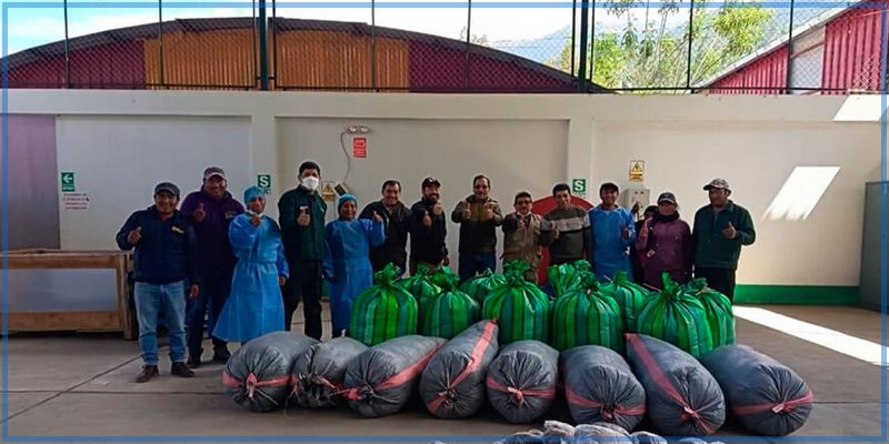 Apurímac: Mejoran la comercialización sostenible de fibra de vicuña