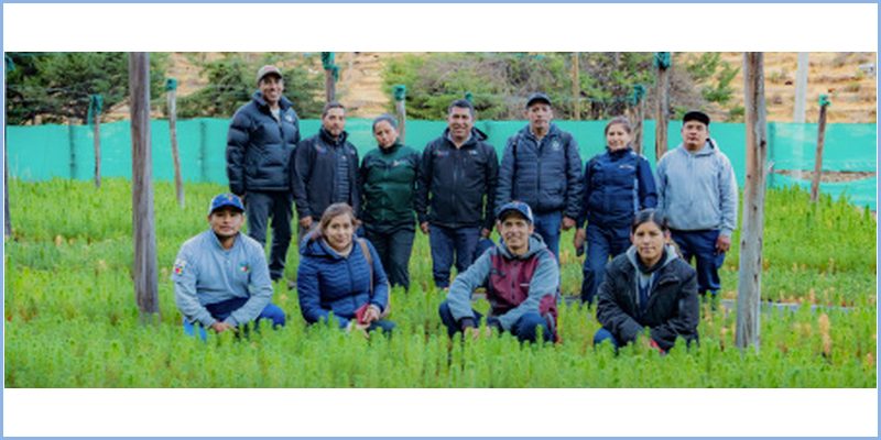 Gerencia Regional de Recursos Naturales realiza inspección a zonas reforestadas en Aymaraes