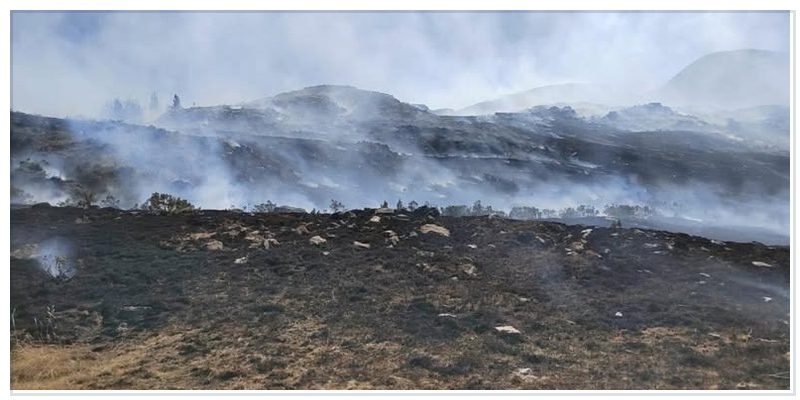 Incendio forestal en Haquira consume pastizales y amenaza plantaciones de pino