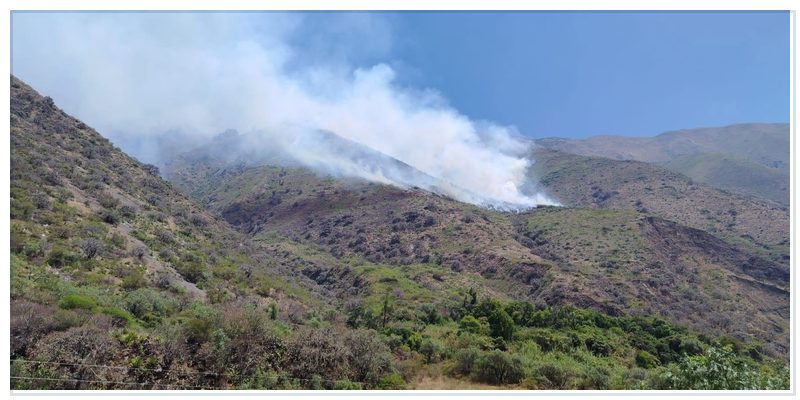 Se produjo incendio forestal en Lambrama y afecta cobertura natural