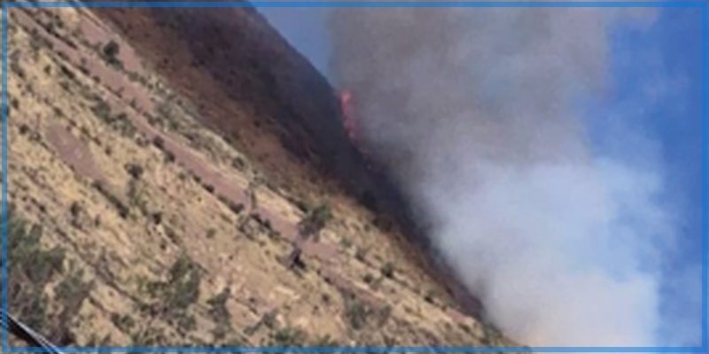 Incendio forestal afecta cobertura natural en Aymaraes