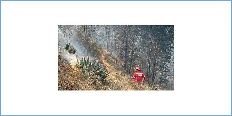 Incendio forestal afectó 10 hectáreas de cobertura vegetal en Curahuasi