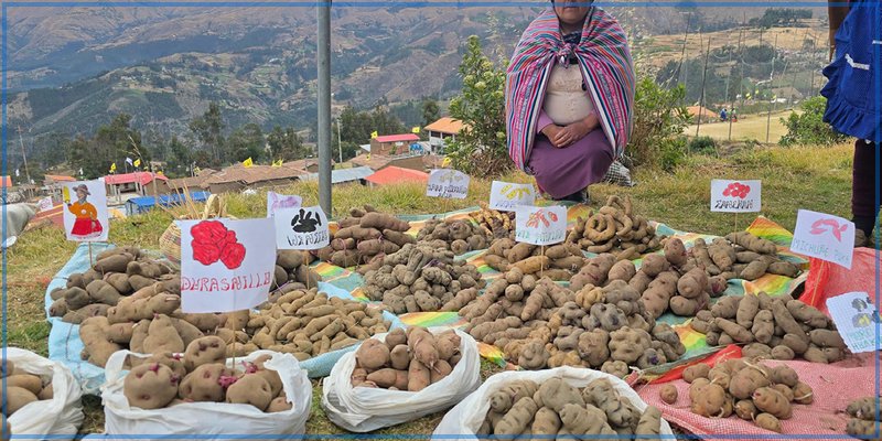 Curahuasi: fortalece su economía con Feria Agrícola, Artesanal y Gastronómica