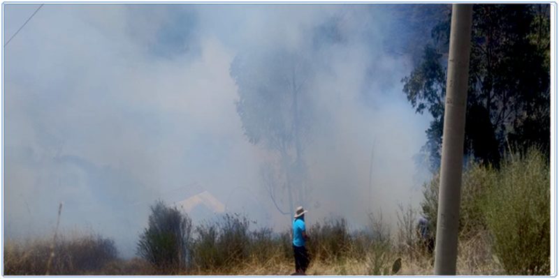 Incendio forestal amenaza cobertura vegetal y fauna silvestre en Lucre