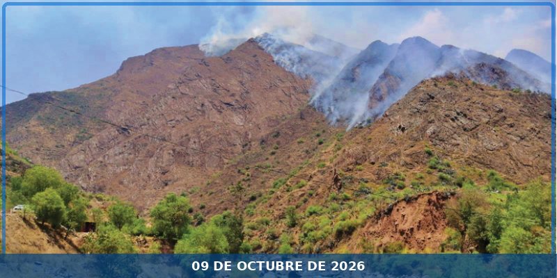 Policía constata incendio forestal reportado en barrio Quehuincha -Mara
