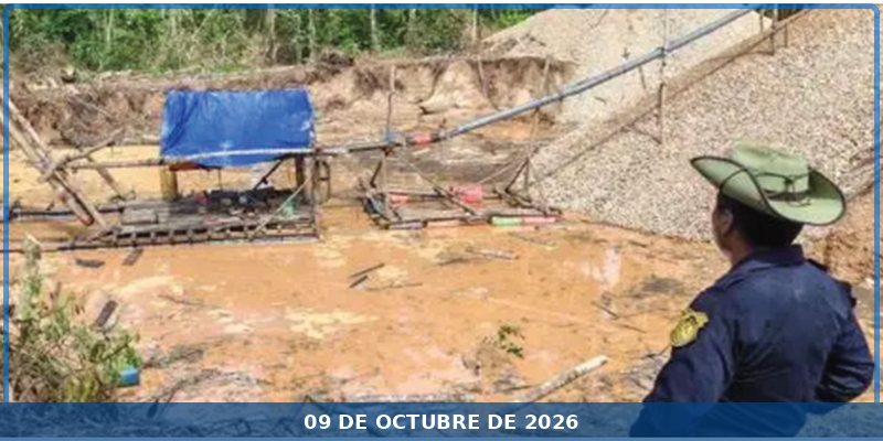Recuperar zonas afectadas por minería ilegal puede costar hasta s/ 25 mil por hectárea y tardar diez años