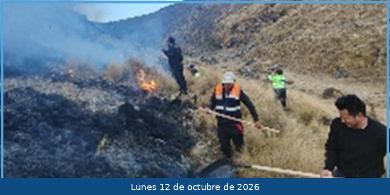 Incendio forestal se reactiva en Coyllurqui y devasta áreas naturales y cultivos