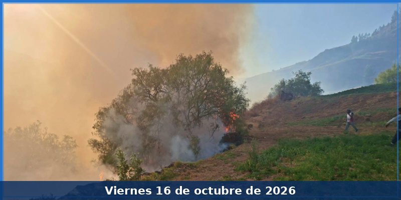 Un fallecido y tres heridos en incendios forestales de Coyllurqui