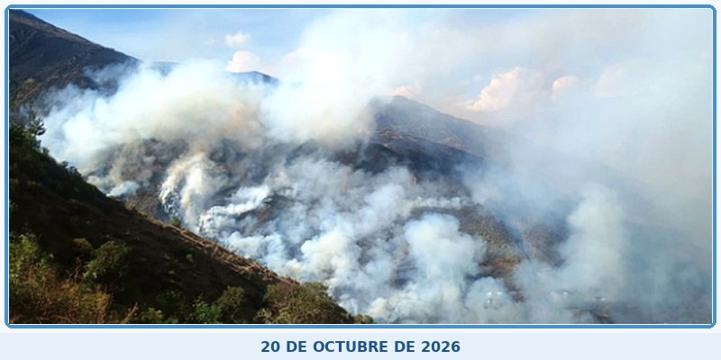 Incendio forestal devasta Matibamba y Vista Alegre en Curahuasi y deja a familias en emergencia