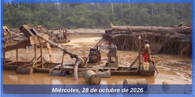Milton Von Hesse advierte que la minería ilegal es la principal actividad del crimen organizado en el Perú